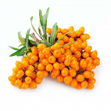 Фото Облепиха очищенная замороженная 100 г