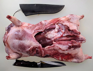 Фото Нутрия тушка (3-5кг)