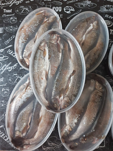 Превью Хариус солёномороженный