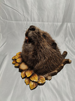 Бобр на медальоне без лап