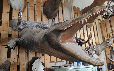 Превью Чучело крокодила