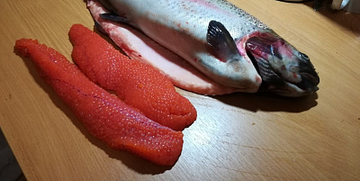 Превью Форель Мурманская свежемороженая непотрошеная