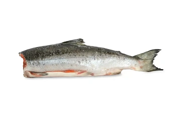 Фото Нерка потрошеная без головы блочной заморозки (мешок 20 кг)