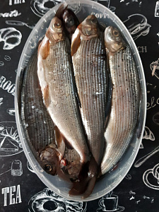 Превью Хариус солёномороженный