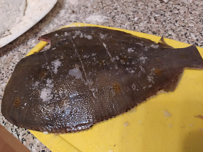 Превью Камбала белобрюхая потрошеная без головы