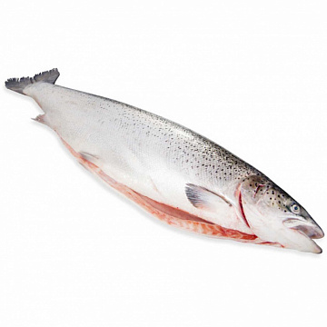 Фото Чавыча штучной заморозки