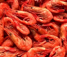 Креветка северная в/м н/р МАГАДАНСКАЯ 80/100 (коробка 5кг)